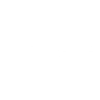 NTT Data